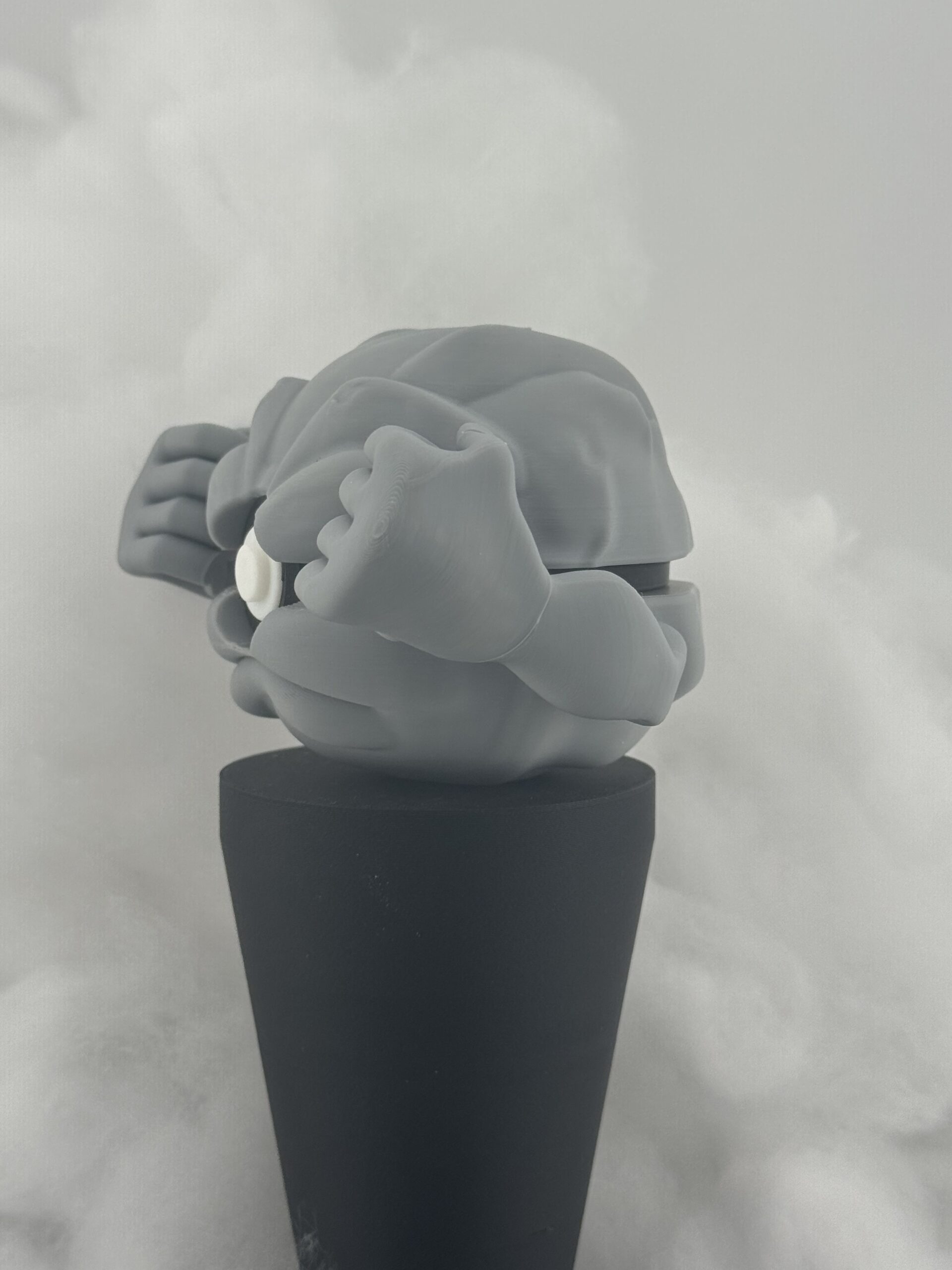 #0074 - Capsule Basaltique – Image 2