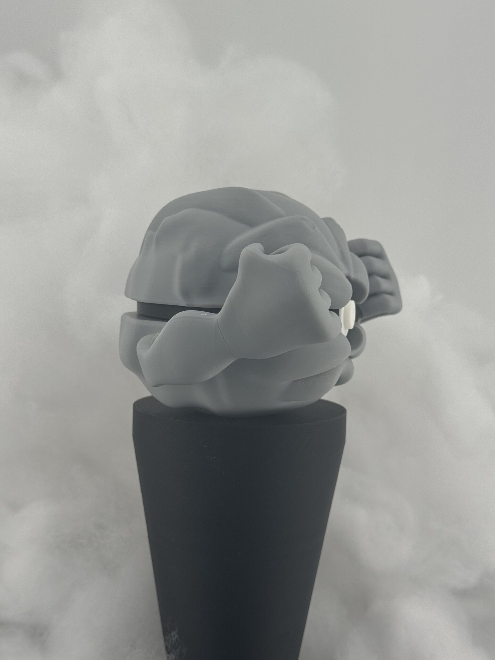 #0074 - Capsule Basaltique – Image 3